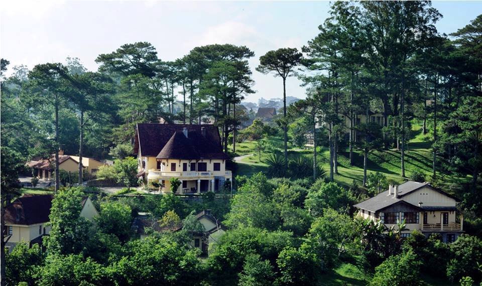 Tổng quát Ana Mandara