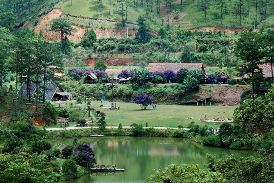 Rừng thông reo trong gió - gọi tên Đà Lạt lãng mạn và yên bình