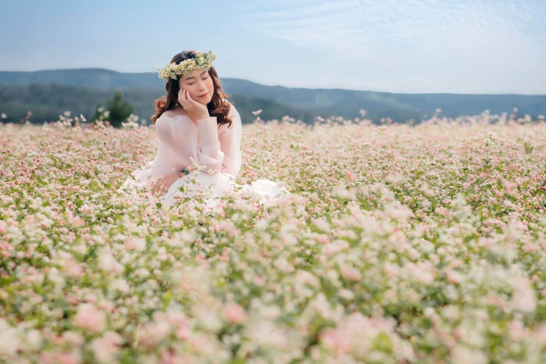 Mùa hoa tam giác mạch tháng 2 ở Đà Lạt
