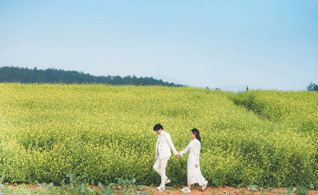 Mùa hoa cải ở Đà Lạt tháng 10