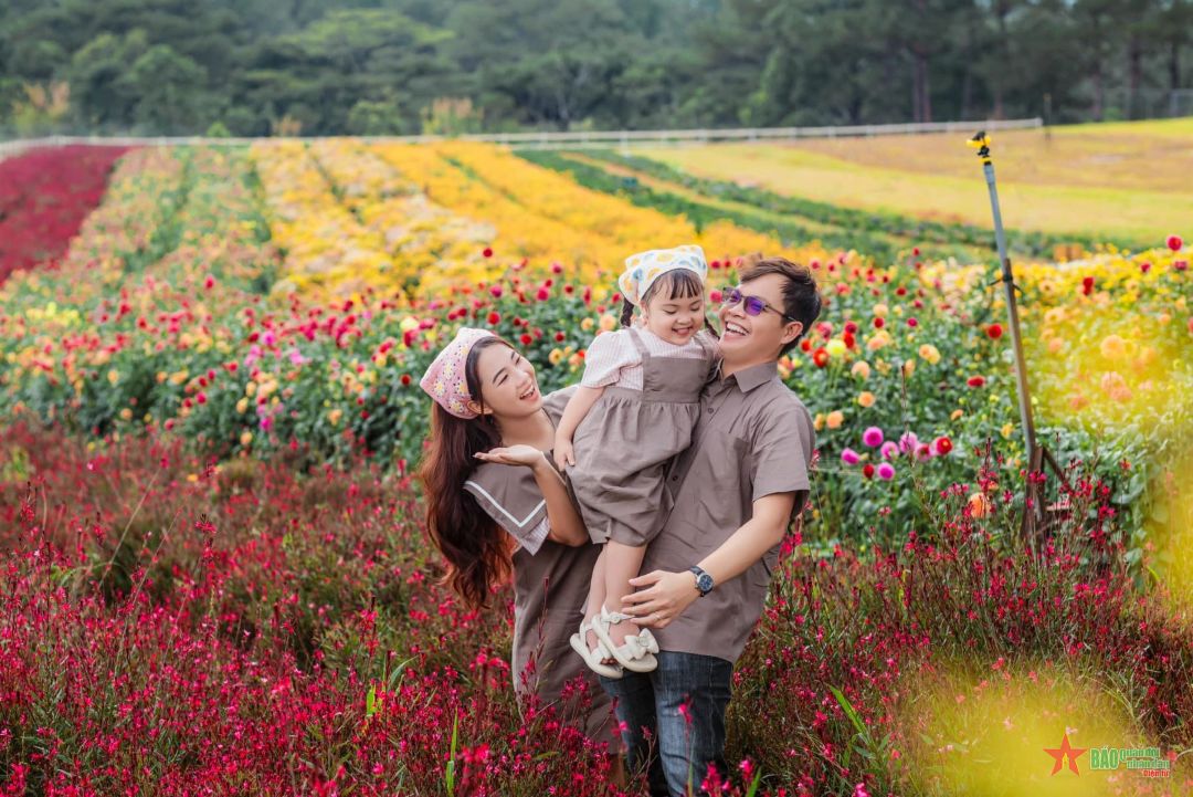 Đa dạng loài hoa vào tháng 12 Đà Lạt