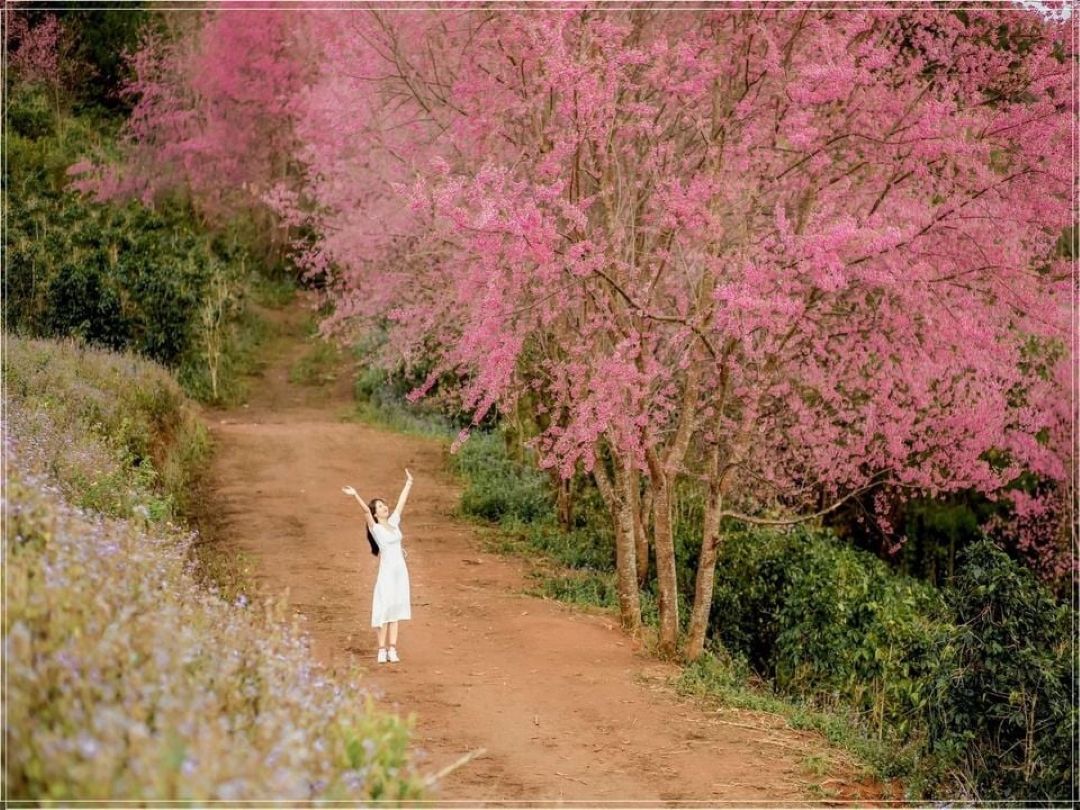 Đà Lạt - Thành phố ngàn hoa 