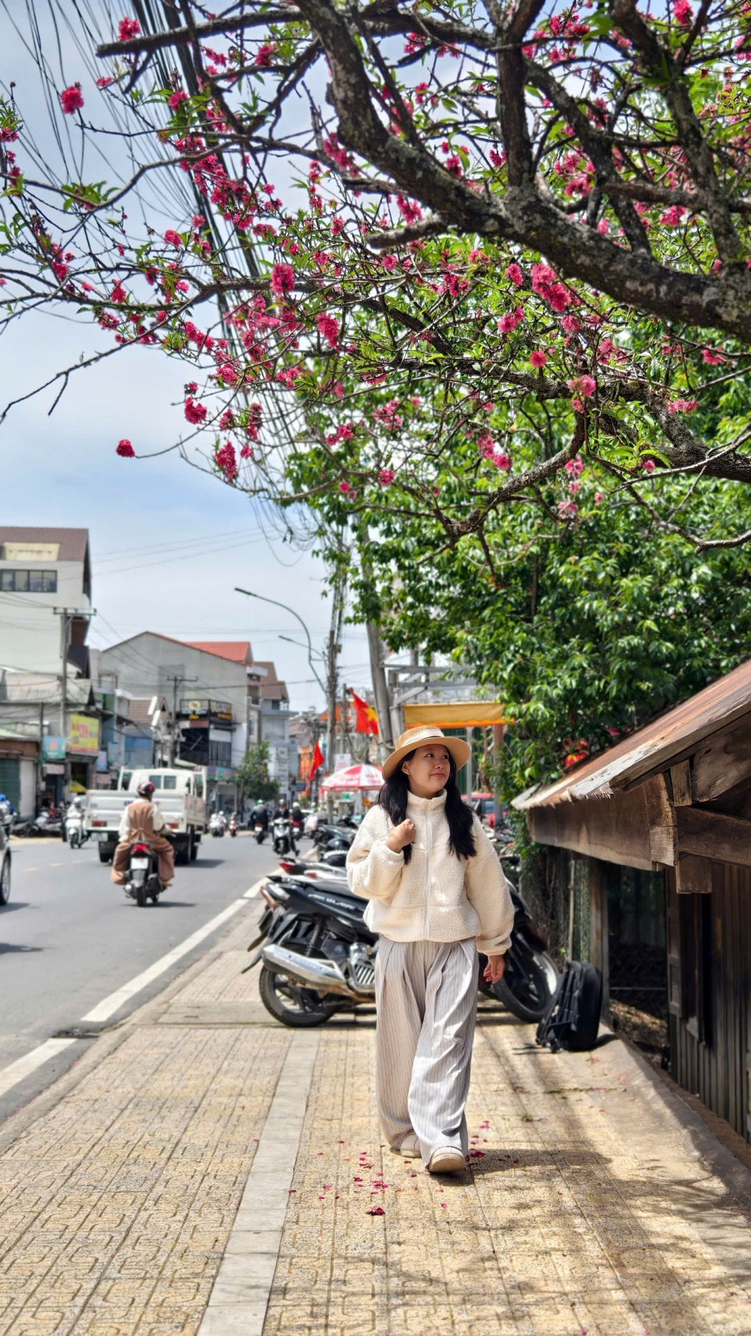 Tháng 1 Đà Lạt rực rỡ với sắc mai đào xinh yêu