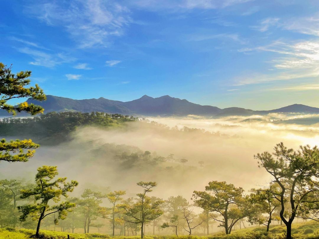 Không khí ấm áp vào tháng 4 Đà Lạt