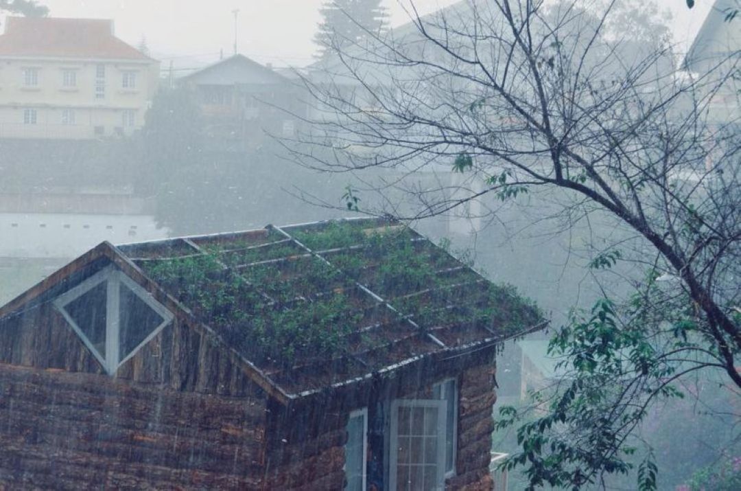 Đà Lạt mùa mưa vào tháng 7
