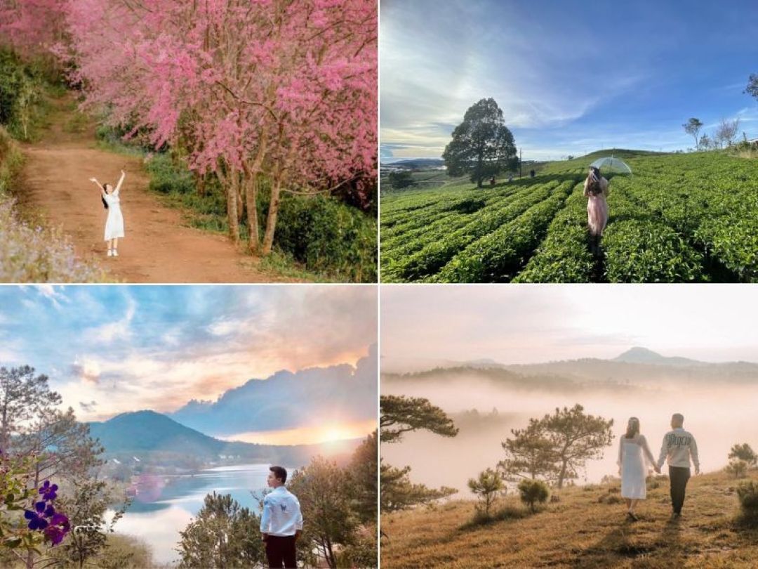 Tổng hợp Đà Lạt tháng 1