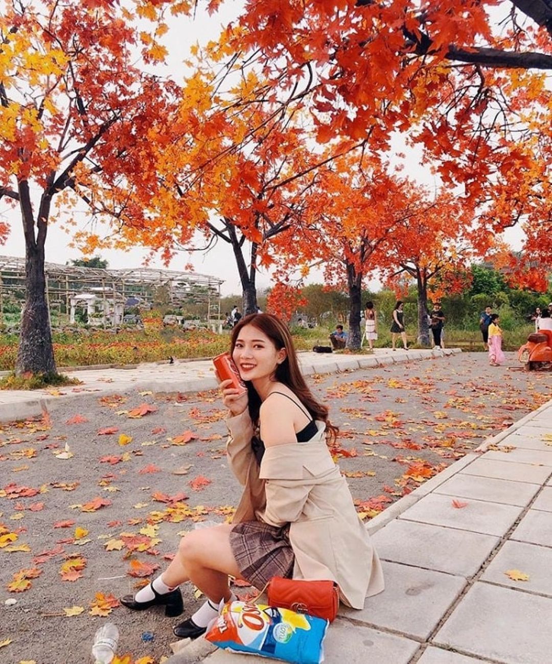 Lá phong Đà Lạt chuyển màu đỏ rực rỡ, tạo nên khung cảnh mùa thu tuyệt đẹp