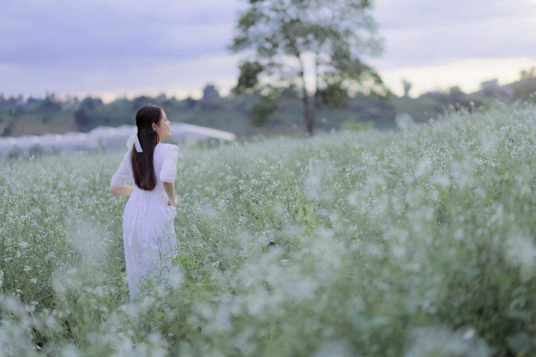 Chụp một tấm giữa cải trắng, là giữ lại được cả mùa đông Đà Lạt