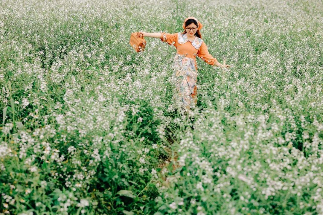 Đồng hoa cải trắng mang vẻ đẹp thuần túy và lãng mạn