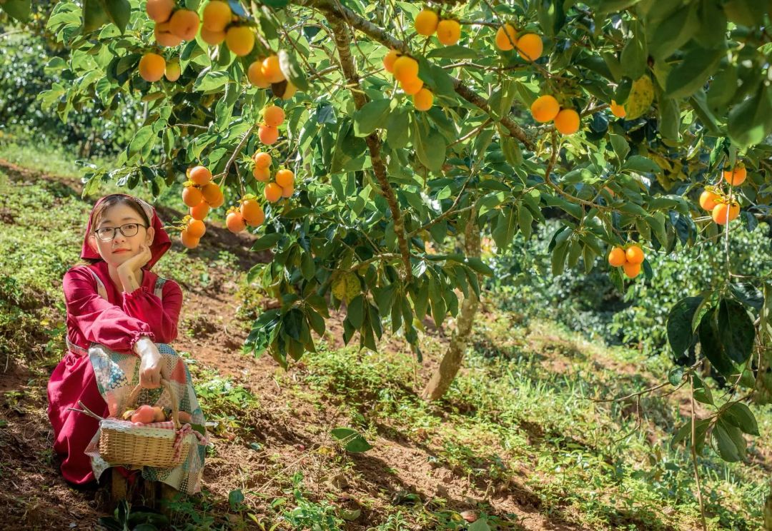Đà Lạt tháng 6, mùa trái cây trĩu quả, là thiên đường ngọt ngào không thể bỏ qua.