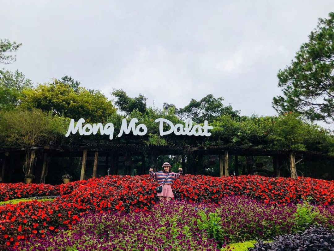 Đồi Mộng Mơ – điểm đến lý tưởng để check-in của nhiều du khách ở Đà Lạt