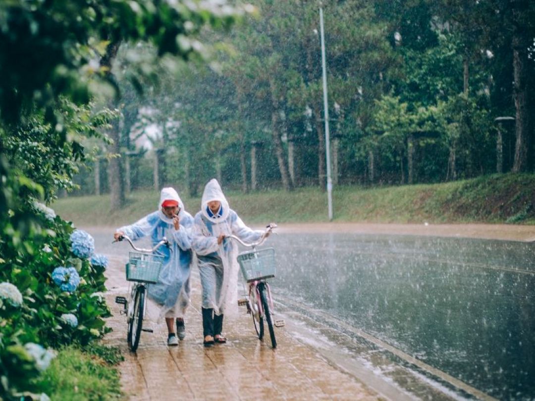 Mưa tháng 8 Đà Lạt mang theo nỗi nhớ da diết và đem đến một bầu trời trong xanh, tươi mới