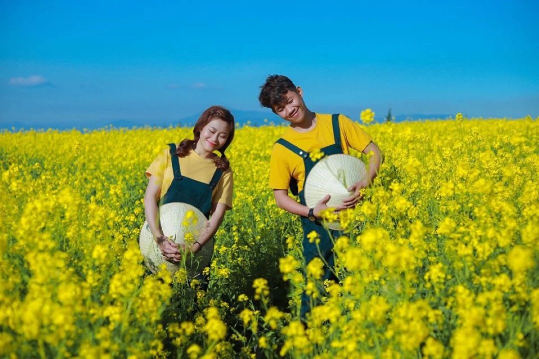 Hoa cải vàng rực rỡ, làm say lòng du khách khi ghé thăm Đà Lạt vào mùa này
