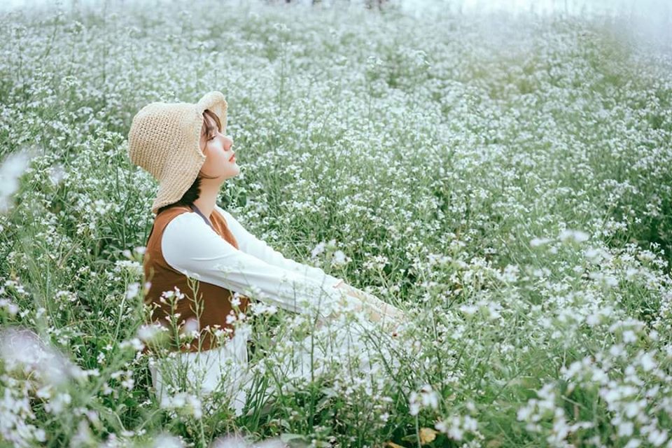 Mùa hoa Cải Trắng - Mùa hoa cuối năm ở Đà Lạt