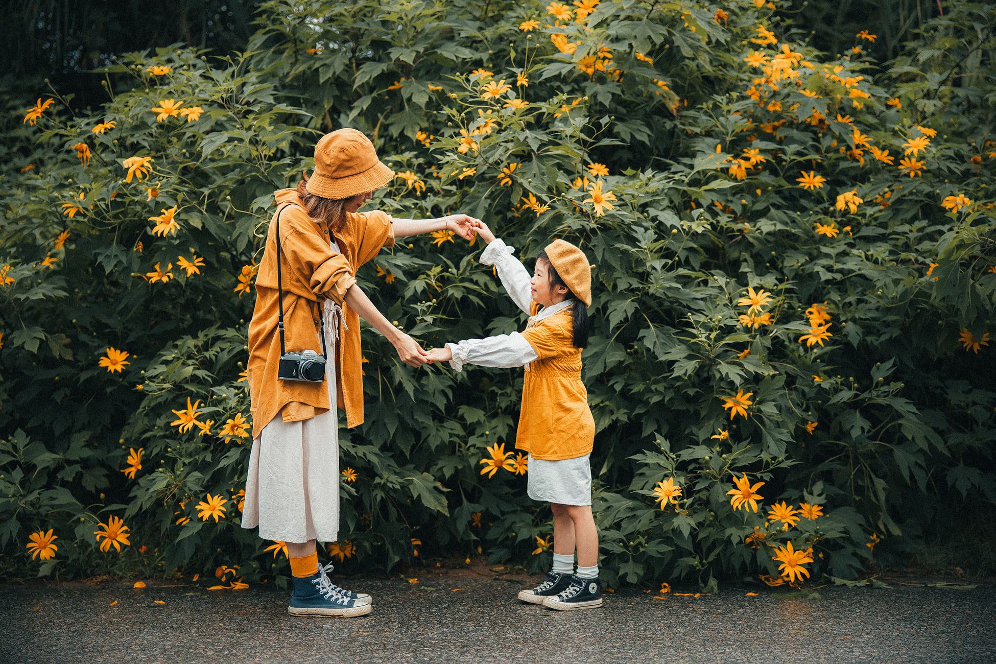 Mùa hoa Dã Quỳ - Mùa hoa Đà Lạt