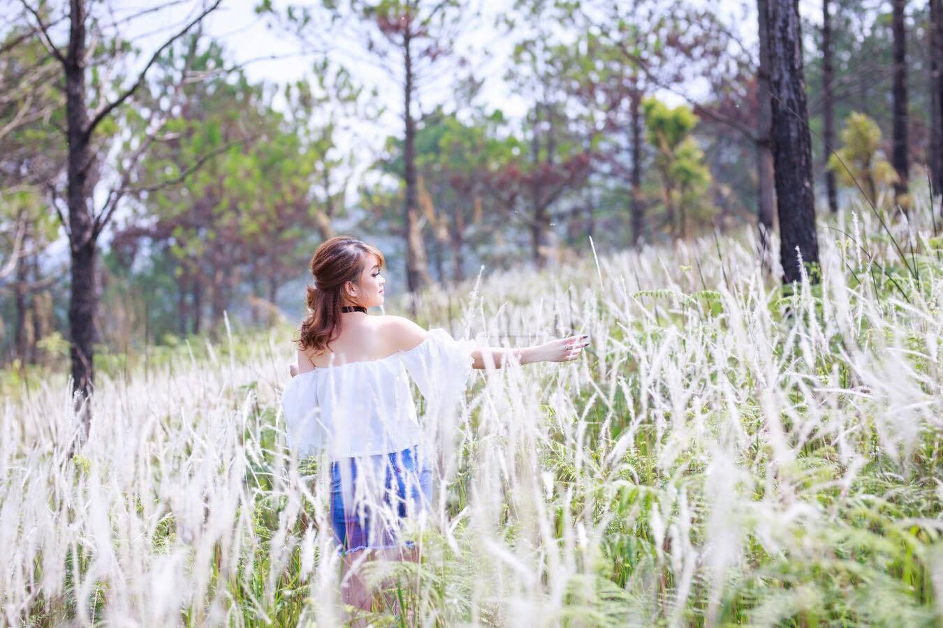 Mùa Cỏ Lau - Mùa hoa Đà Lạt