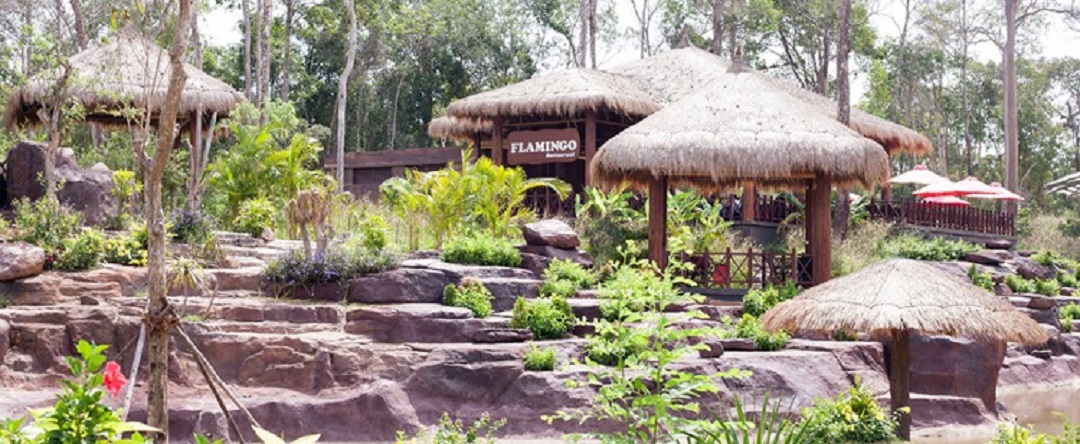 Kinh nghiệm đi Vinpearl Safari Phú Quốc [Lời khuyên Hữu ích nhất]