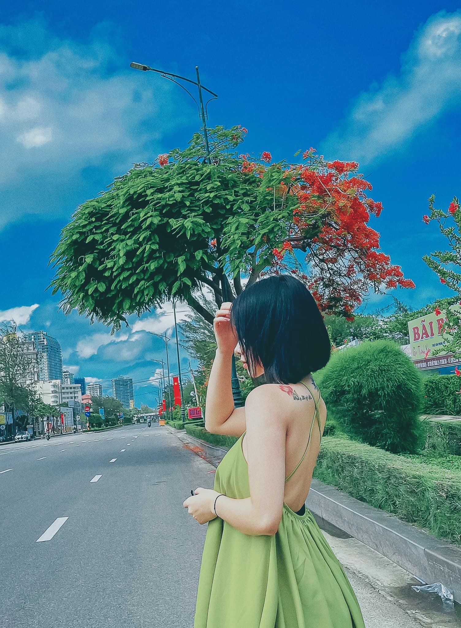Sống ảo cùng cây phượng hai màu