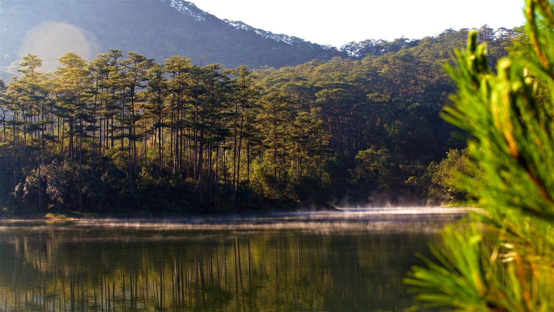 Bình An Village Đà Lạt không có hồ bơi, nhưng gần hồ Tuyền Lâm – nơi nhiều khách chọn thư giãn thay thế