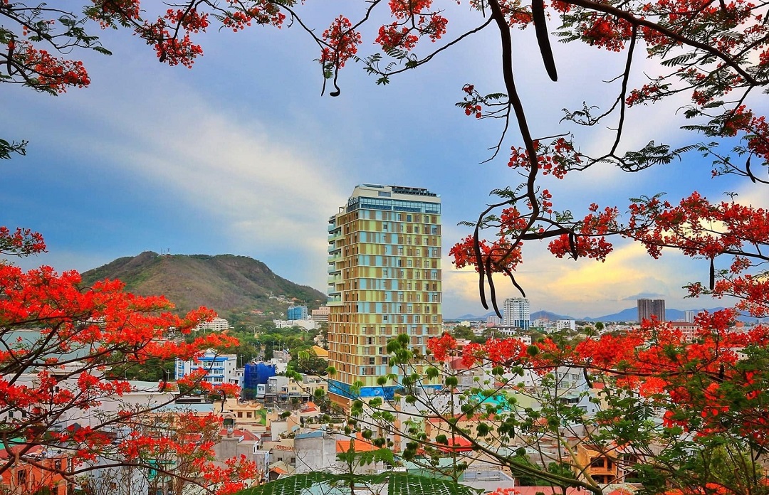Review Fusion Suites Vũng Tàu 4 sao Đầy đủ, súc tích & hữu ích