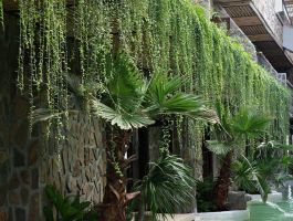 Anket De’ River Mũi Né