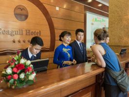 Voucher Hải Âu Quy Nhơn (Seagull)