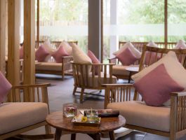 Voucher Alba Wellness Resort Huế