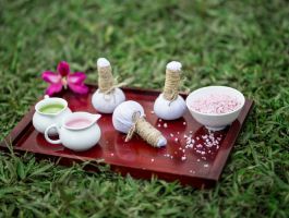 Voucher Alba Wellness Resort Huế