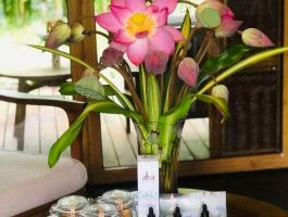 alba-wellness-resort-hue-by-fusion-4