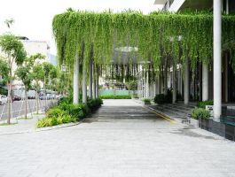 Voucher ANYA Premier Hotel Quy Nhơn