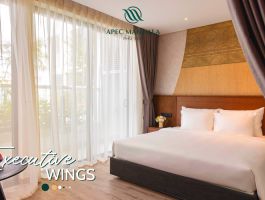 Executive Urban Wing1