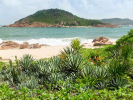 Voucher Avani Quy Nhơn Resort & Spa