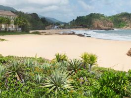 Voucher Avani Quy Nhơn Resort & Spa