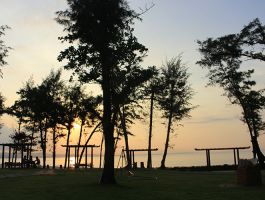 Cà Ty Mũi Né Resort