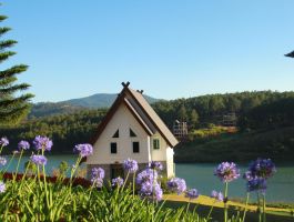 Biệt thự 4 phòng ngủ 3