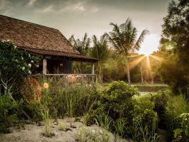 Paddy Field Villa