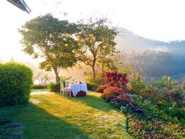 Bình An Village Đà Lạt