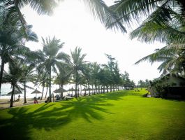 Bungalow hướng biển (6)