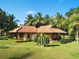 Bungalow Hướng Vườn (1)