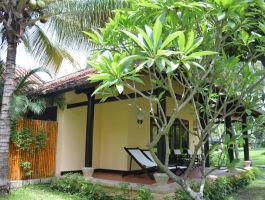 Bungalow Trước Biển (3)