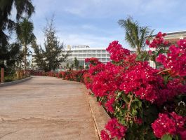 Emerald Ho Tram Resort