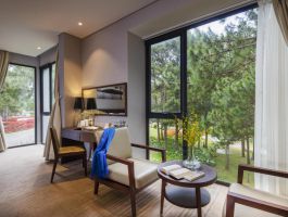 Deluxe room 2 - 50m2