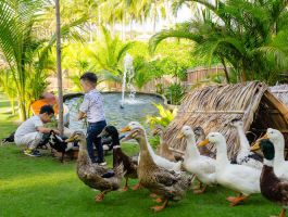 Voucher Fusion Resort Cam Ranh