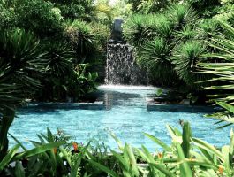 Voucher Tia Wellness Resort Đà Nẵng