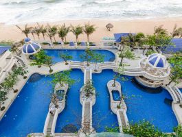 Lan Rừng Phước Hải