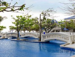 Lan Rừng Phước Hải