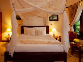 Deluxe Garden Bungalow