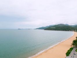 Voucher Hải Âu Quy Nhơn (Seagull)