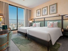 Classic Mountain View1