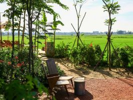 Rêu Hội An Boutique Hotel
